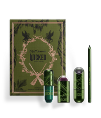 elphaba makeup set